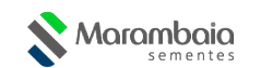 Marambaia-Sementes